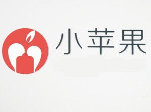 寧波小蘋果青春網(wǎng)絡(luò)科技 數(shù)字化時(shí)代的計(jì)算機(jī)服務(wù)領(lǐng)航者
